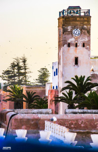 Essaouira Maroc Morocco Riad Birds Palms Sunset Panorama