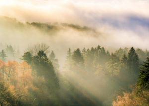 Herbst Nebel Teutoburger Wald Externsteine Lippe Detmold Lipperland Tourist Deutschland